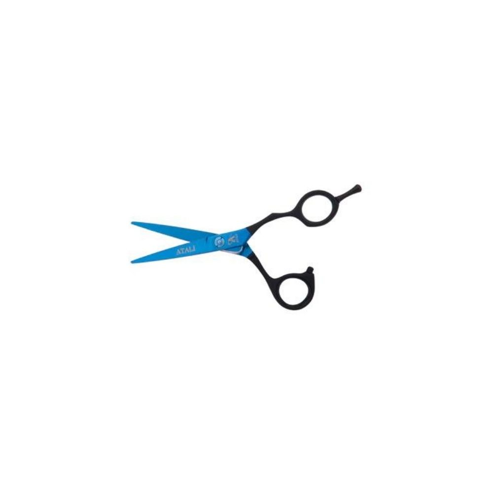 TAKANO ATALI CISEAU LAME REVETUE TITANE BLEU 5.5PO